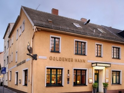 Foto: Goldener Hahn